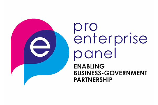 Pro Enterprise Panel logo